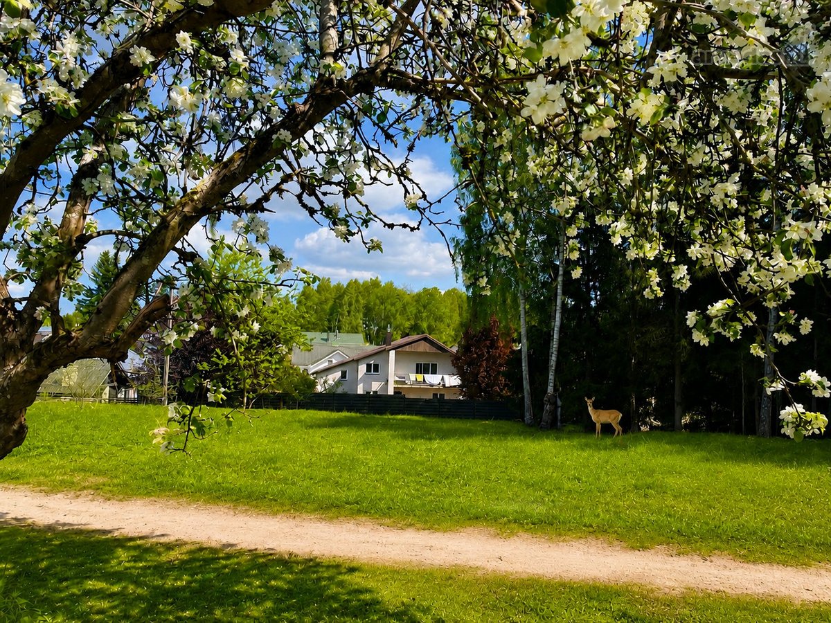 6 Arai Visoriuose – Sklypas, Kuriame Jau - nuotraukos Nr. 10