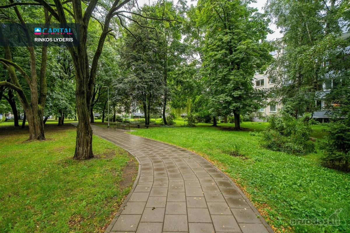 Vieta, Kur Miesto Tempas Susitinka Su Ramybe - nuotraukos Nr. 37