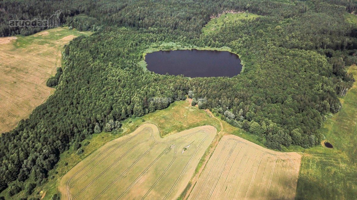 Parduodamas unikalus gamtos kampelis - žemės - nuotraukos Nr. 3