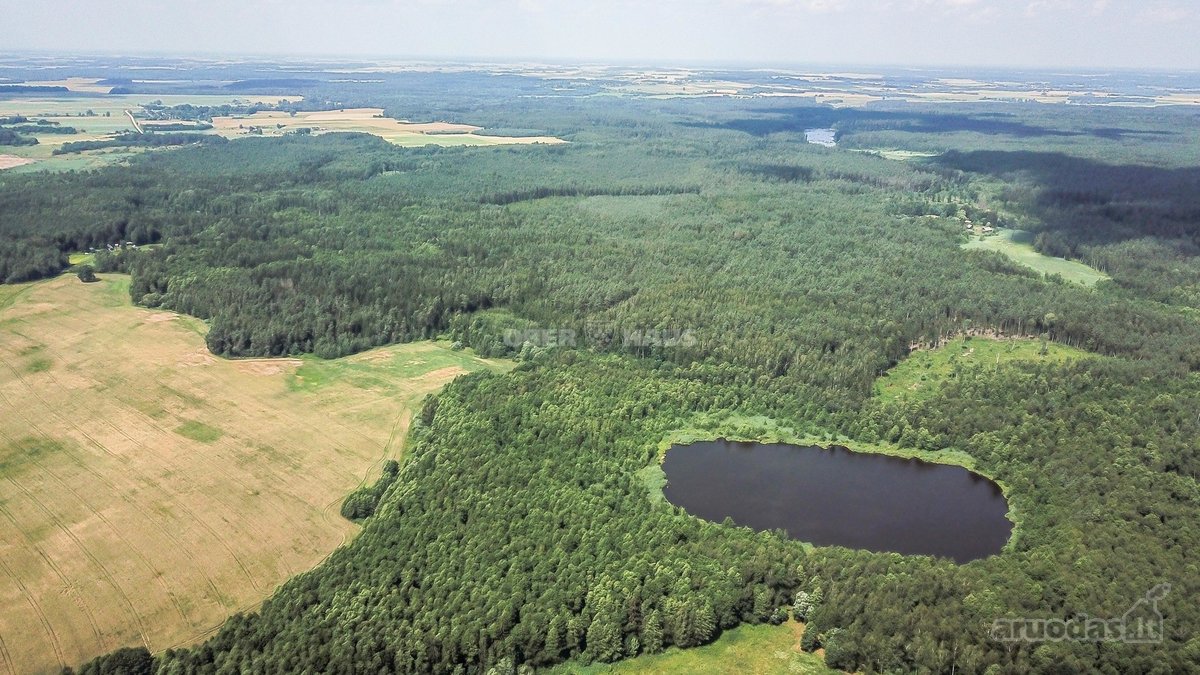 Parduodamas unikalus gamtos kampelis - žemės - nuotraukos Nr. 9