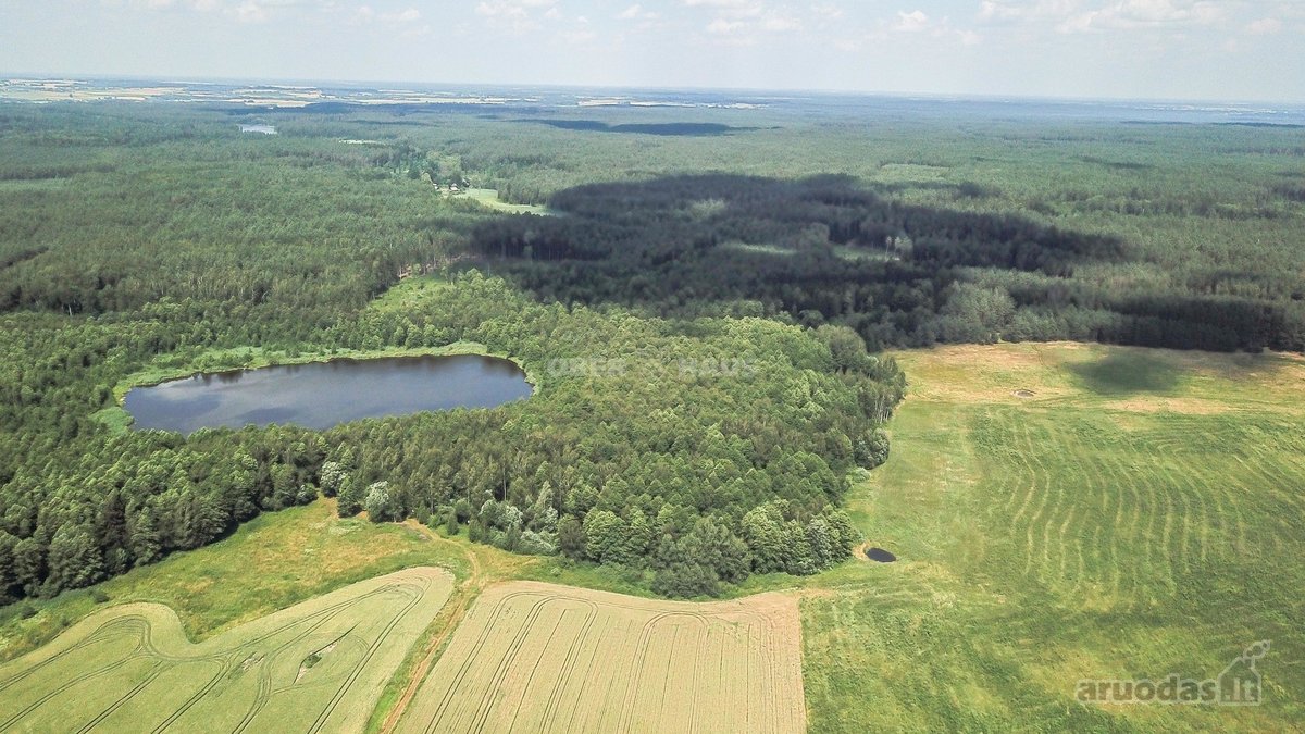 Parduodamas unikalus gamtos kampelis - žemės - nuotraukos Nr. 11