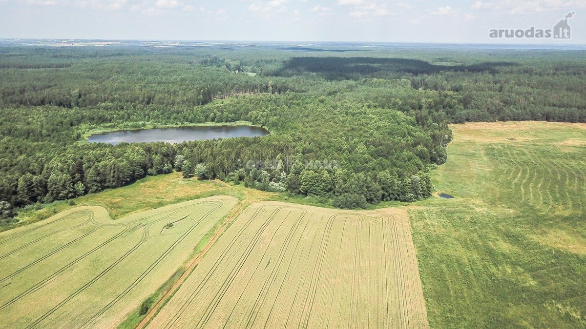 Parduodamas unikalus gamtos kampelis - žemės - nuotraukos Nr. 12