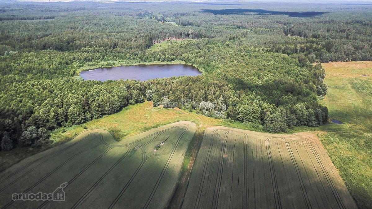 Parduodamas unikalus gamtos kampelis - žemės - nuotraukos Nr. 13