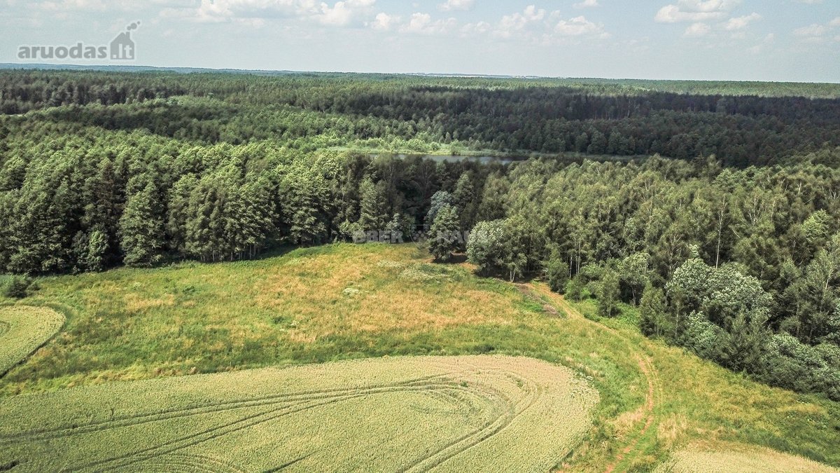 Parduodamas unikalus gamtos kampelis - žemės - nuotraukos Nr. 14