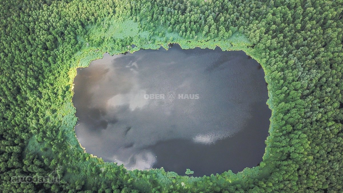 Parduodamas unikalus gamtos kampelis - žemės - nuotraukos Nr. 15