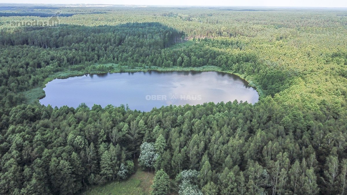 Parduodamas unikalus gamtos kampelis - žemės - nuotraukos Nr. 18