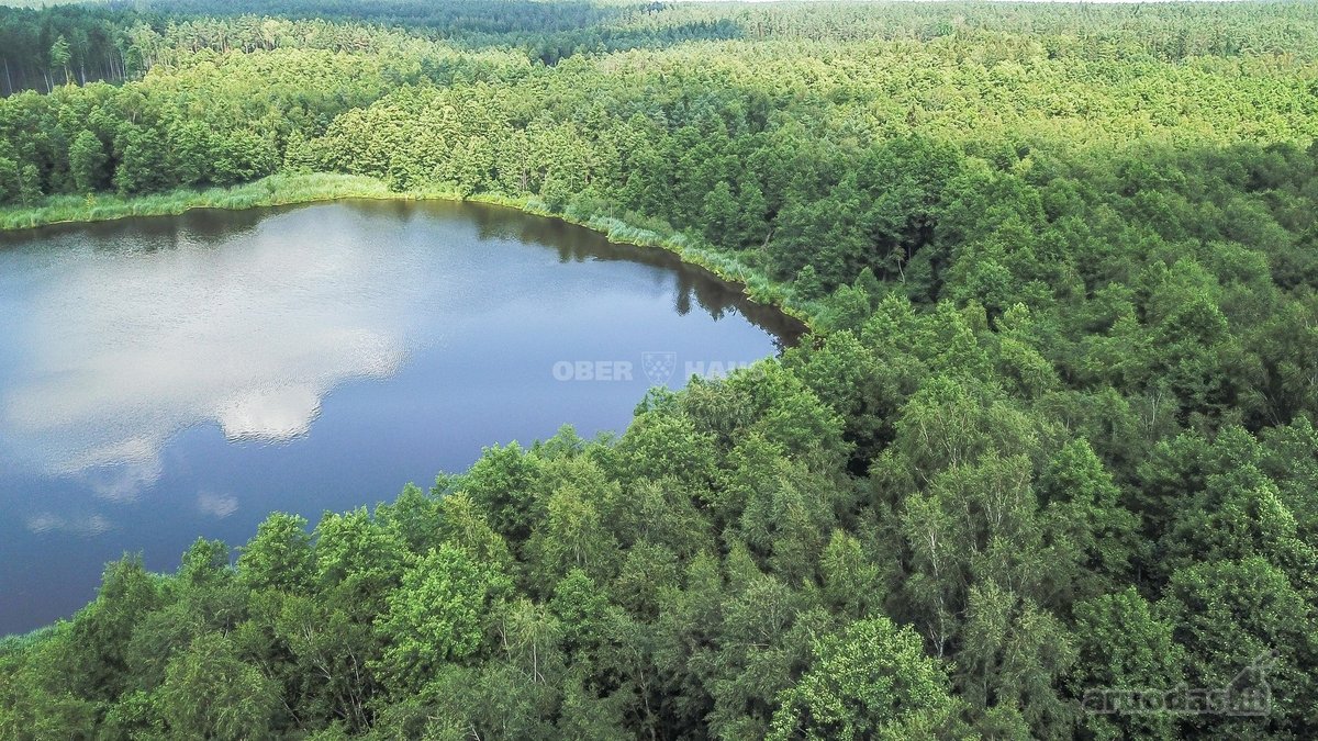 Parduodamas unikalus gamtos kampelis - žemės - nuotraukos Nr. 19