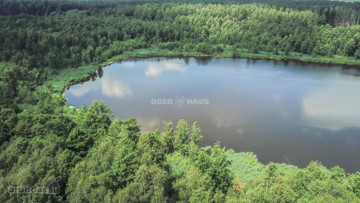 Parduodamas unikalus gamtos kampelis - žemės - nuotraukos Nr. 20