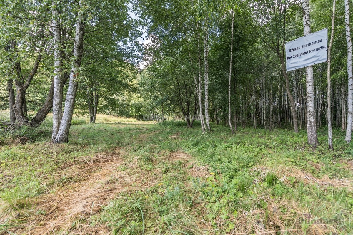 Parduodamas unikalus gamtos kampelis - žemės - nuotraukos Nr. 23