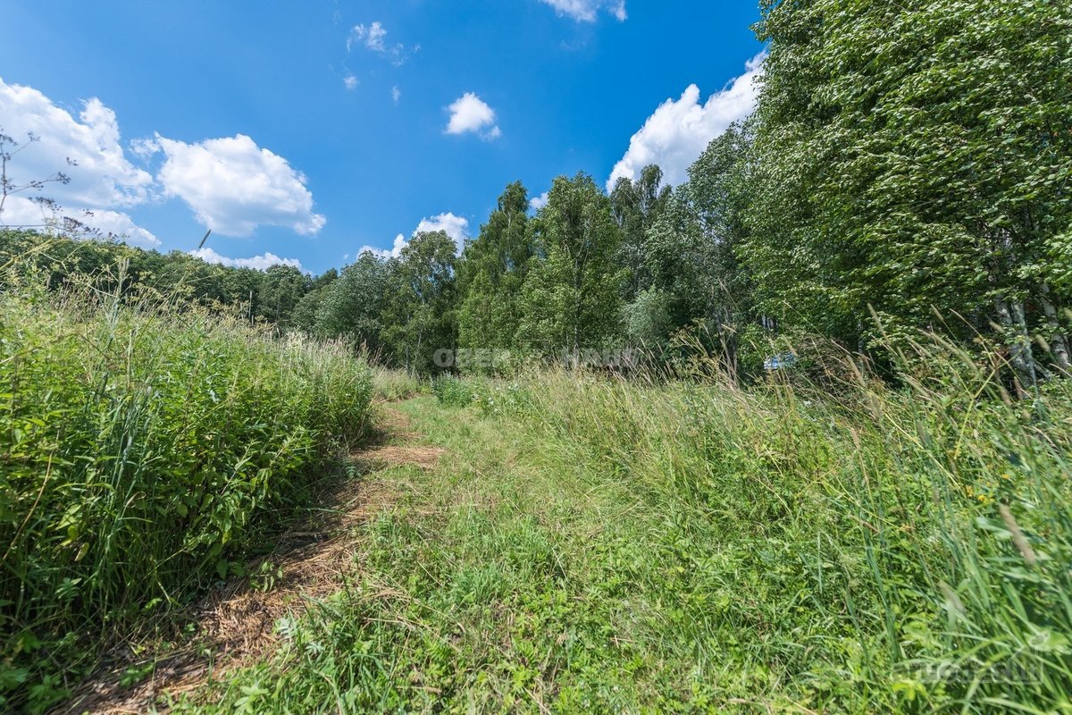 Parduodamas unikalus gamtos kampelis - žemės - nuotraukos Nr. 24