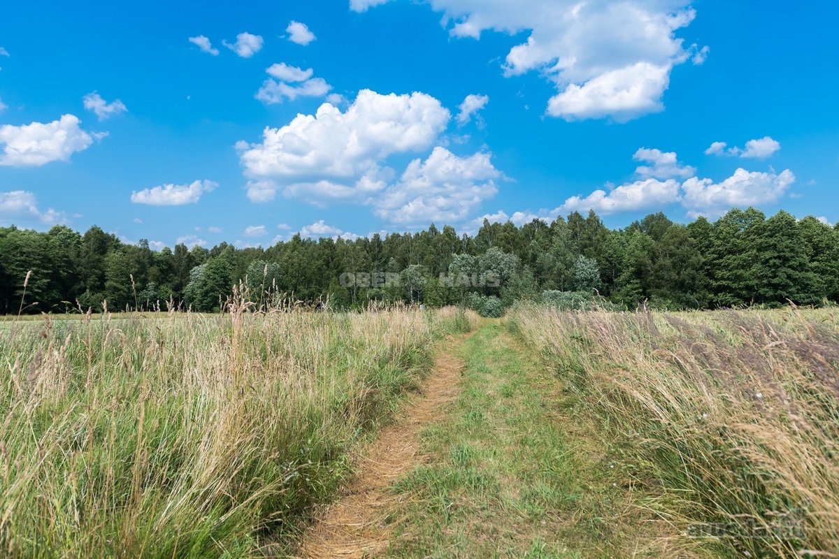 Parduodamas unikalus gamtos kampelis - žemės - nuotraukos Nr. 27