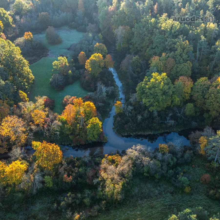 Parduosime sklypo dalį tiems, kurių vertybės - nuotraukos Nr. 4