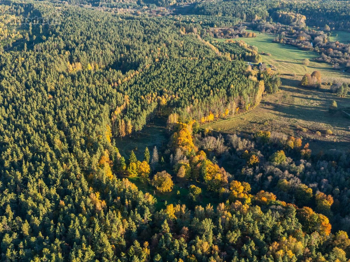 Parduosime sklypo dalį tiems, kurių vertybės - nuotraukos Nr. 3