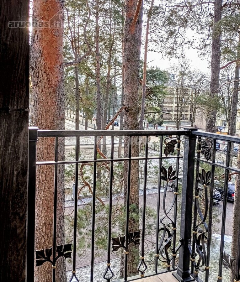 Gyventi ir poilsiauti Druskininkuose, reiškia - nuotraukos Nr. 7