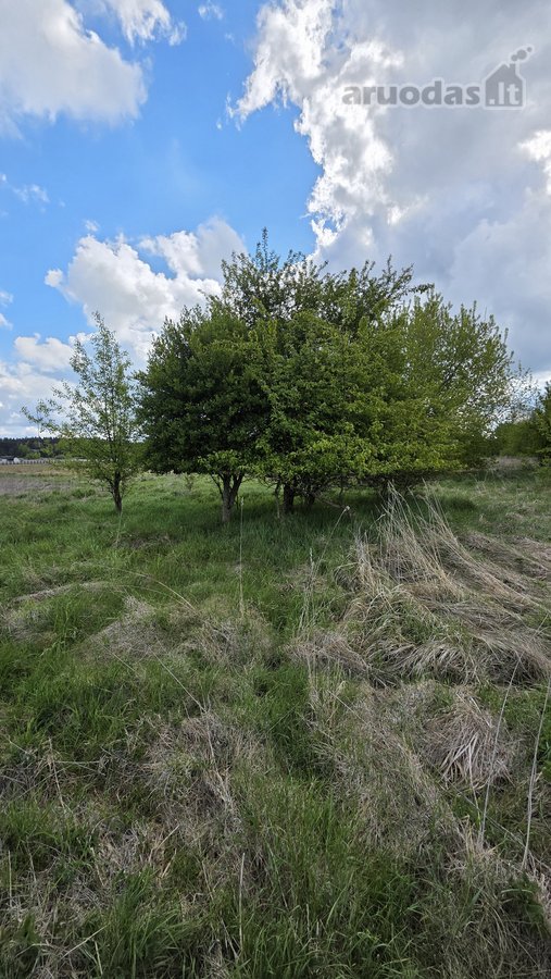Parduodamas 71 A Namų Valdos Sklypas Prie - nuotraukos Nr. 6