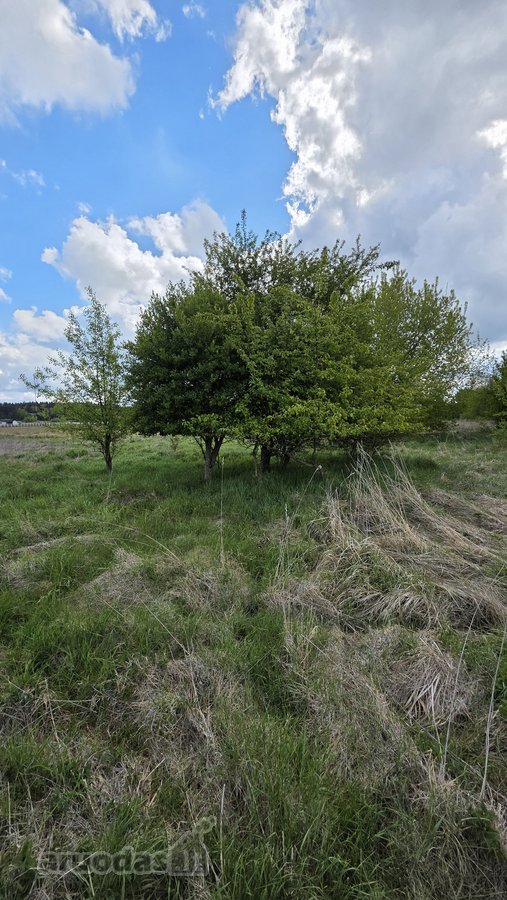 Parduodamas 71 A Namų Valdos Sklypas Prie - nuotraukos Nr. 6