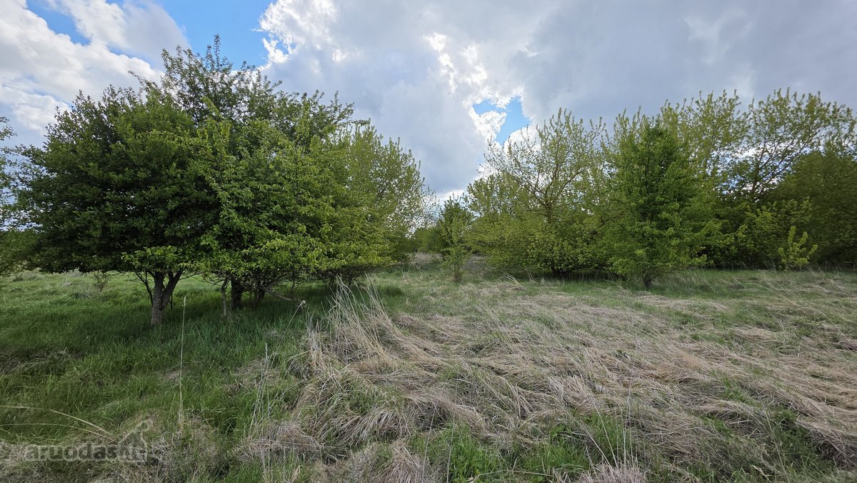 Parduodamas 71 A Namų Valdos Sklypas Prie - nuotraukos Nr. 11