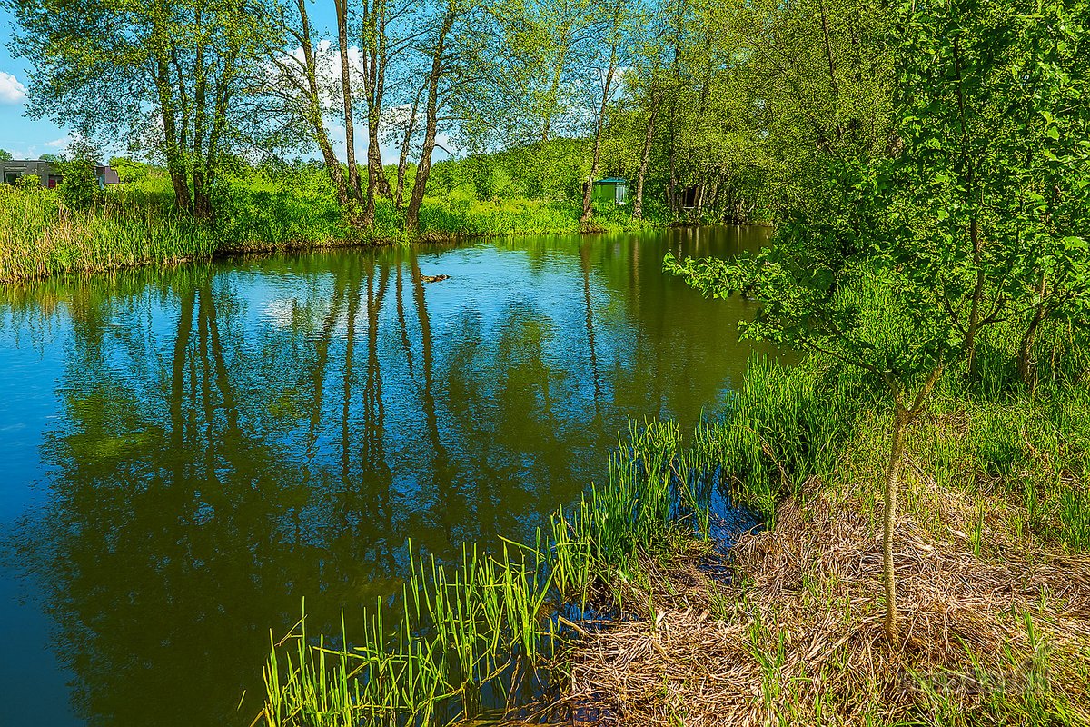 Parduodamas 71 A Namų Valdos Sklypas Prie - nuotraukos Nr. 17