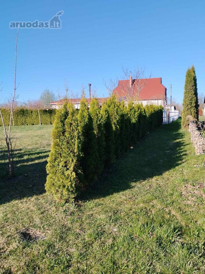1-grežinįs 5000€ - nuotraukos Nr. 9