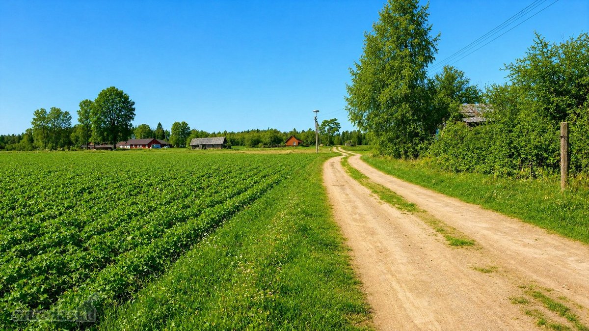 Tvarkingas, Išvalytas Sklypas Su Namu – 9 Km - nuotraukos Nr. 4
