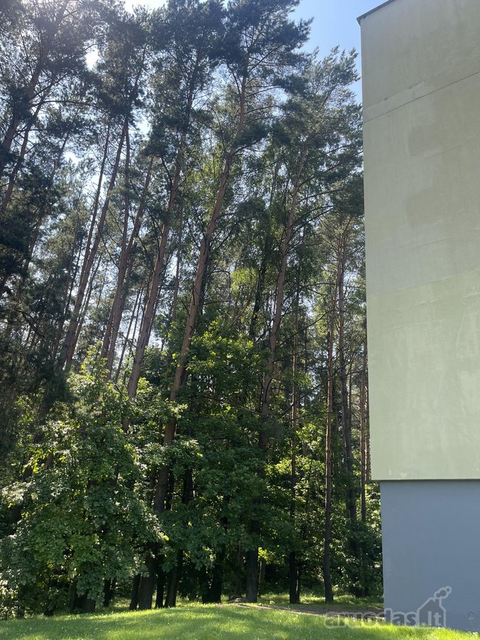 Parduodamas Išskirtinis 2 Kambarių Butas - nuotraukos Nr. 27