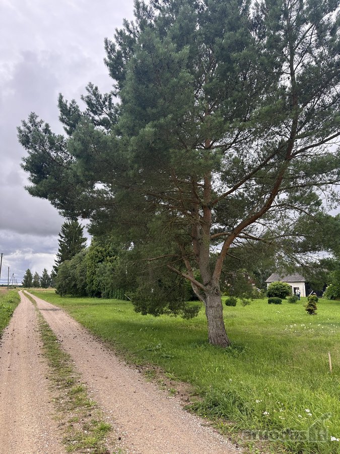 Parduodama sodyba Skaistakaimio kaime, Šakių - nuotraukos Nr. 9