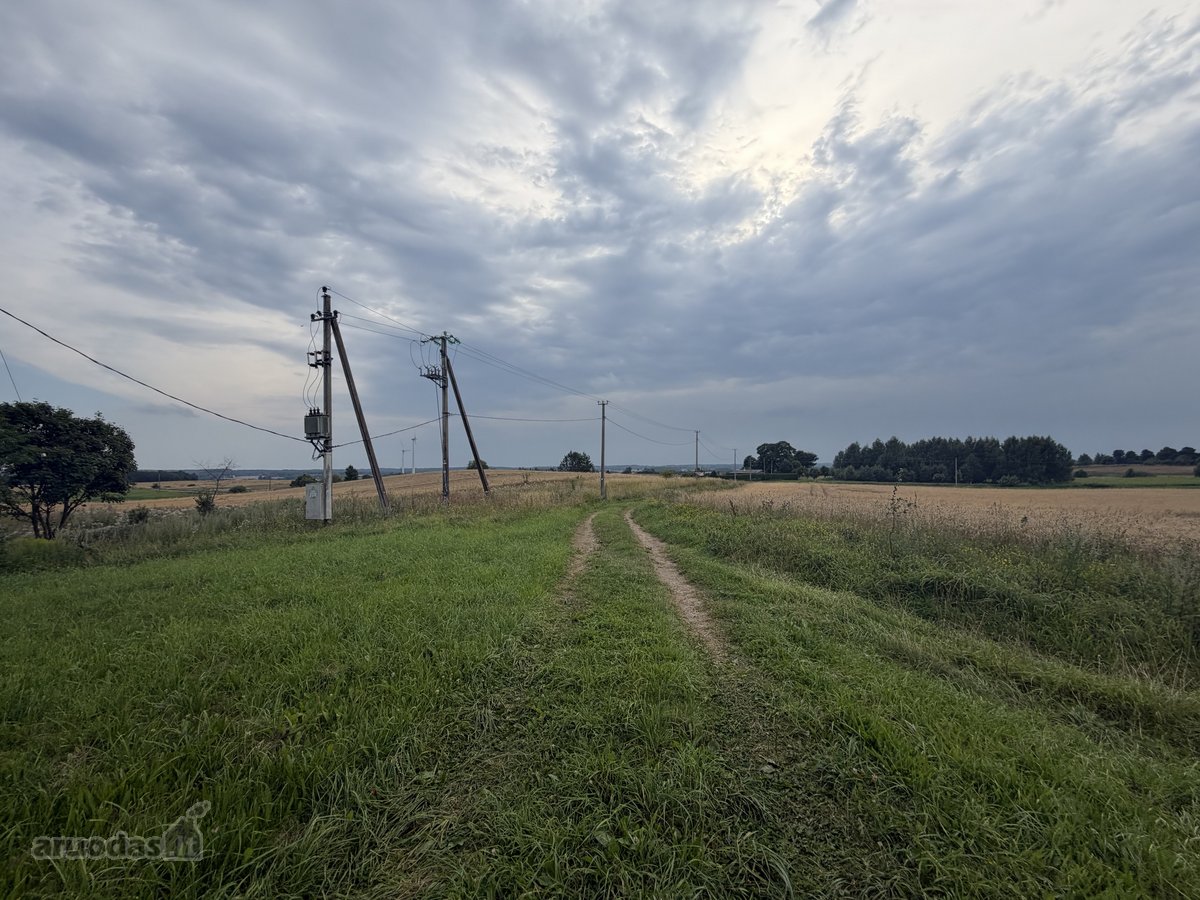 Parduodama sodyba Kaišiadorių rajone - nuotraukos Nr. 10