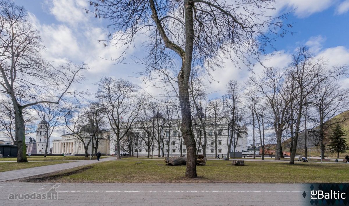 Nuomojamos išskirtinės administracinės - nuotraukos Nr. 15