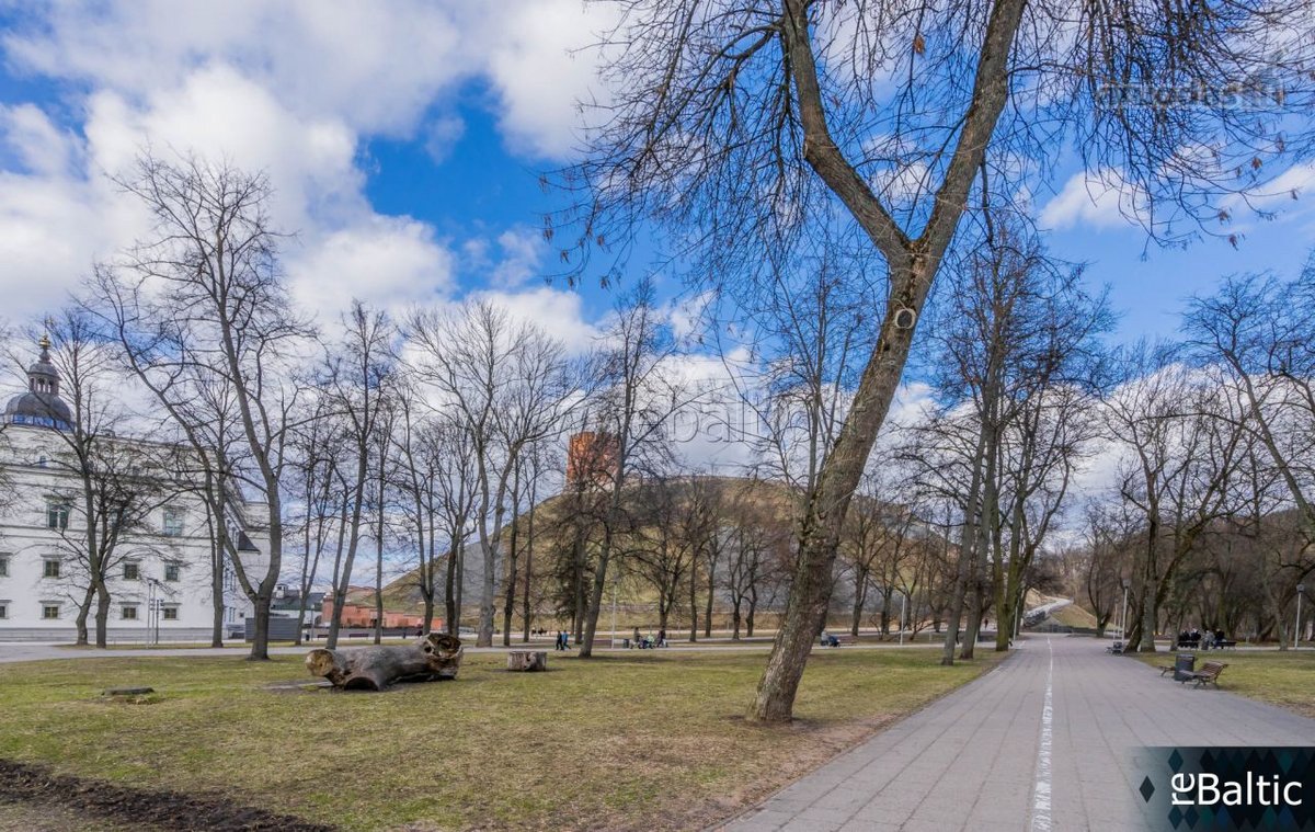 Nuomojamos išskirtinės administracinės - nuotraukos Nr. 16