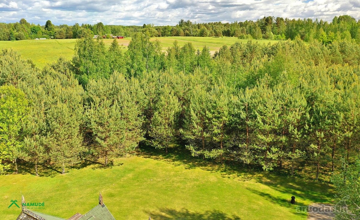 Alaušo Ežero Pakrantės Svajonė – Sodyba Ant - nuotraukos Nr. 14