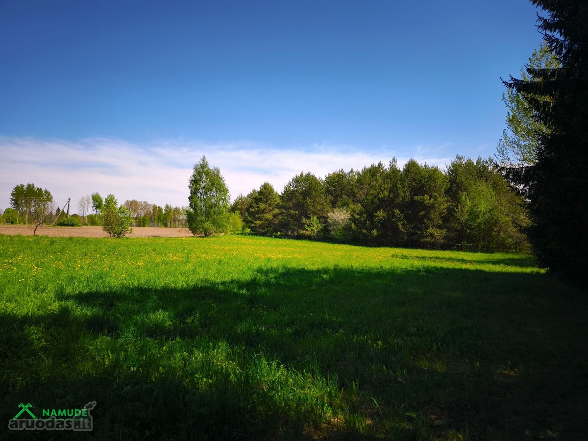 Parduodamas Namas Su Erdviu Sklypu Šalia Upės - nuotraukos Nr. 15
