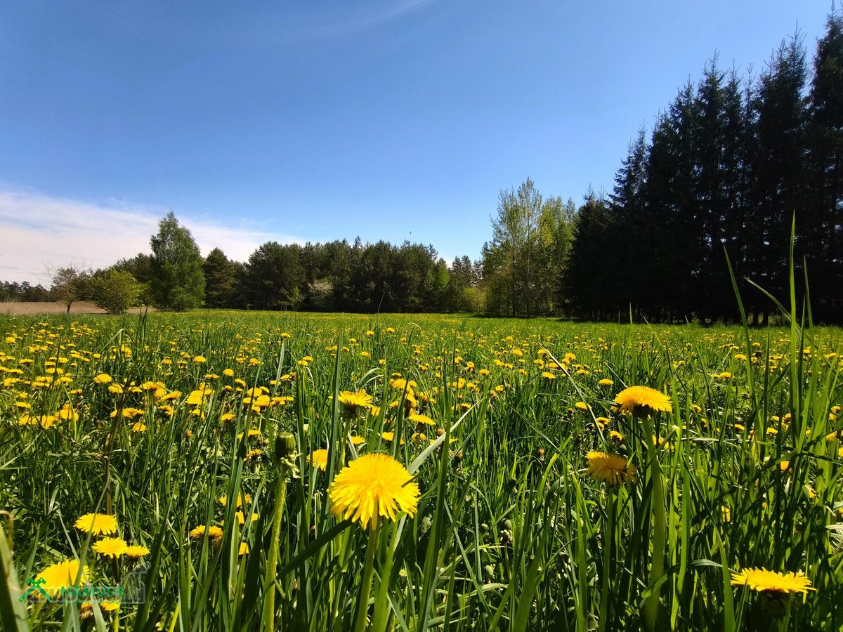 Parduodamas Namas Su Erdviu Sklypu Šalia Upės - nuotraukos Nr. 16