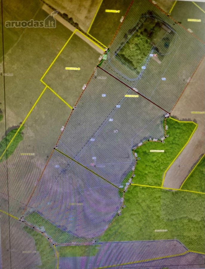 Išskirtinė Vieta Ūkininko Sodybai – 7,4 Ha - nuotraukos Nr. 2