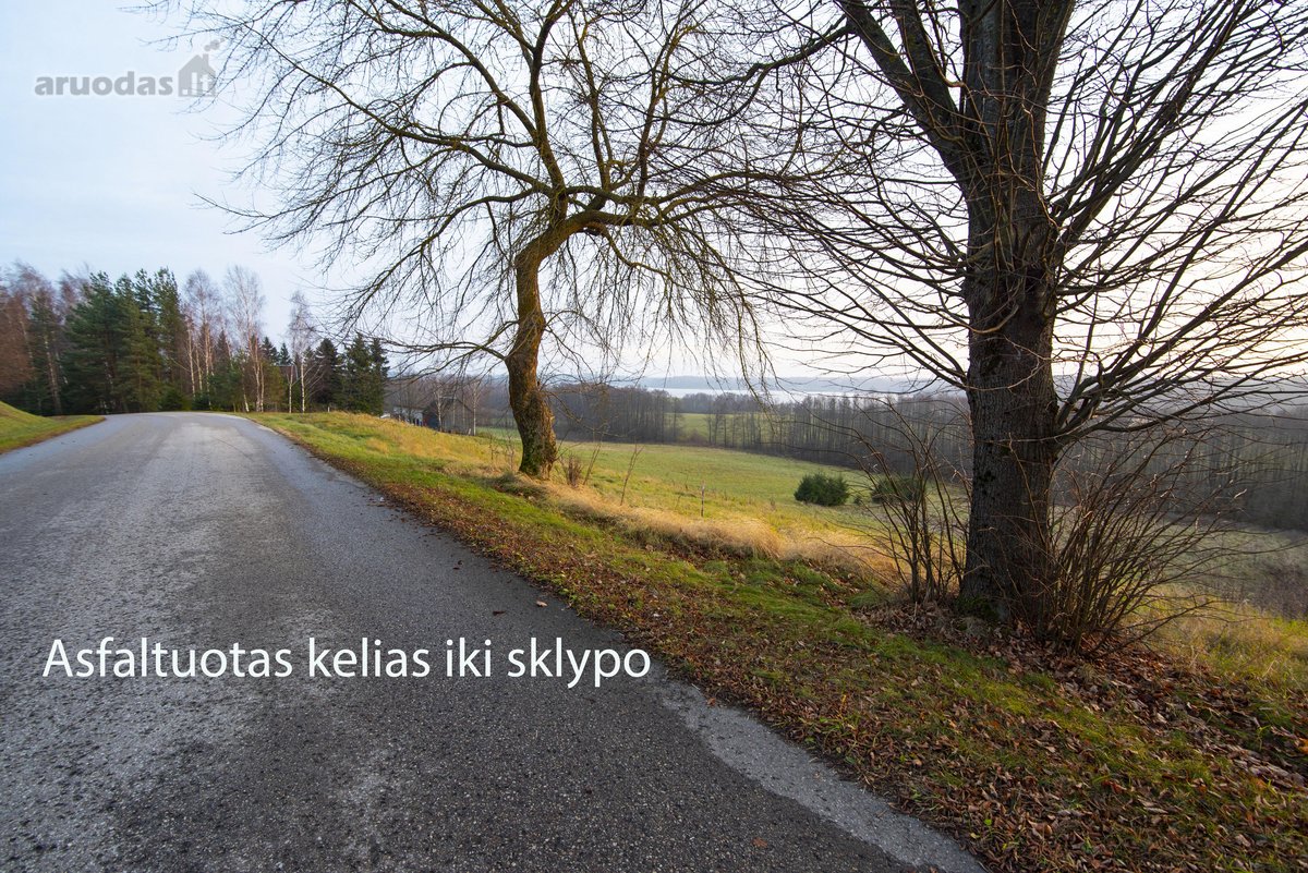 Verbiškių miestelyje, Molėtų rajone, - nuotraukos Nr. 9