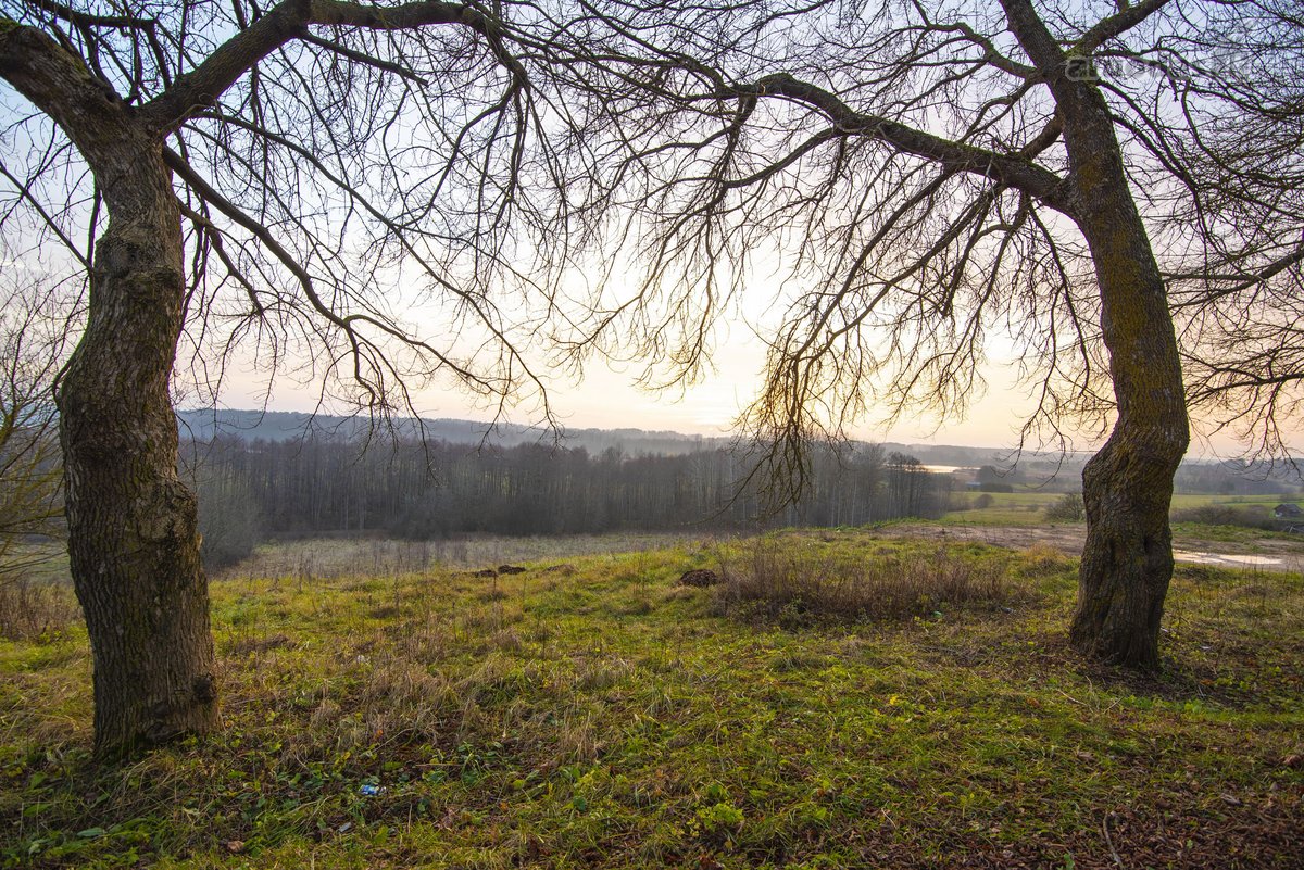 Verbiškių miestelyje, Molėtų rajone, - nuotraukos Nr. 12