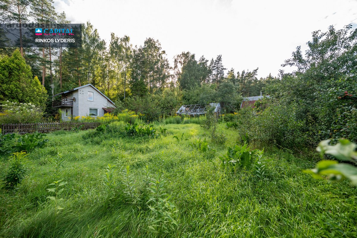 Parduodamas 6,2 a Sklypas Ramioje, Miškų - nuotraukos Nr. 8
