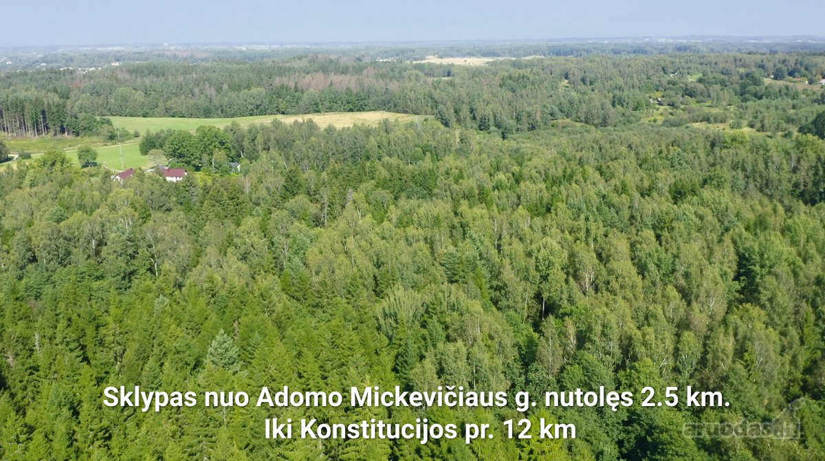 Pristatau žemės sklypą  gamtos stebuklą - nuotraukos Nr. 3