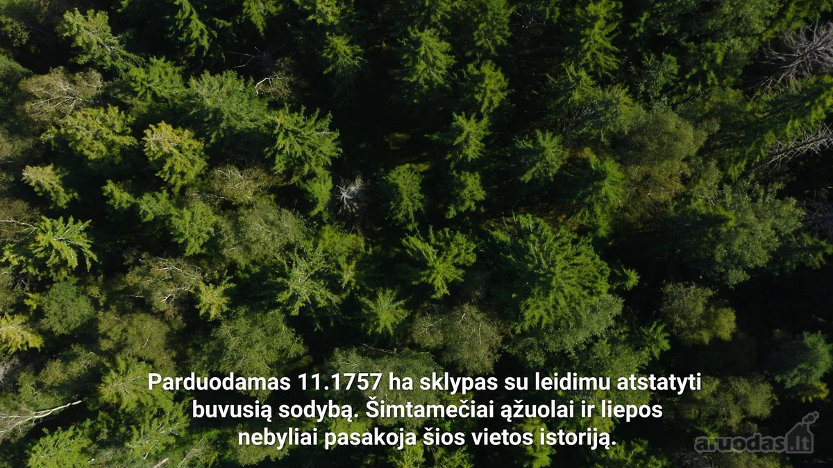 Pristatau žemės sklypą  gamtos stebuklą - nuotraukos Nr. 2