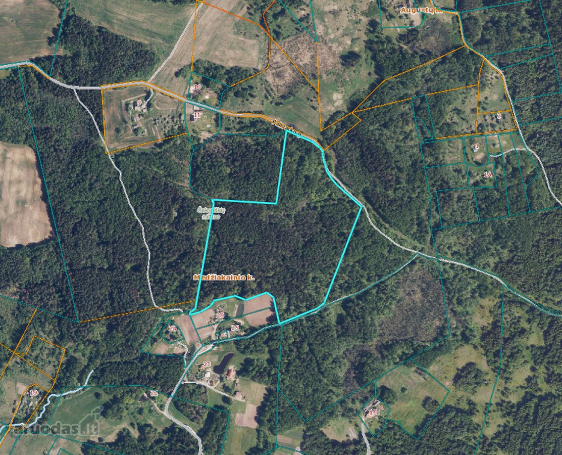 Medžiakalnio geomorfologiniame draustinyje - nuotraukos Nr. 2