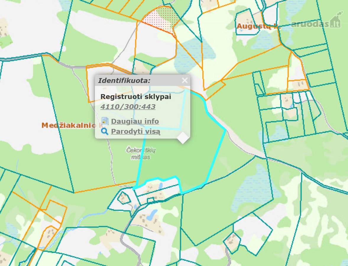 Pristatau žemės sklypą  gamtos stebuklą - nuotraukos Nr. 5