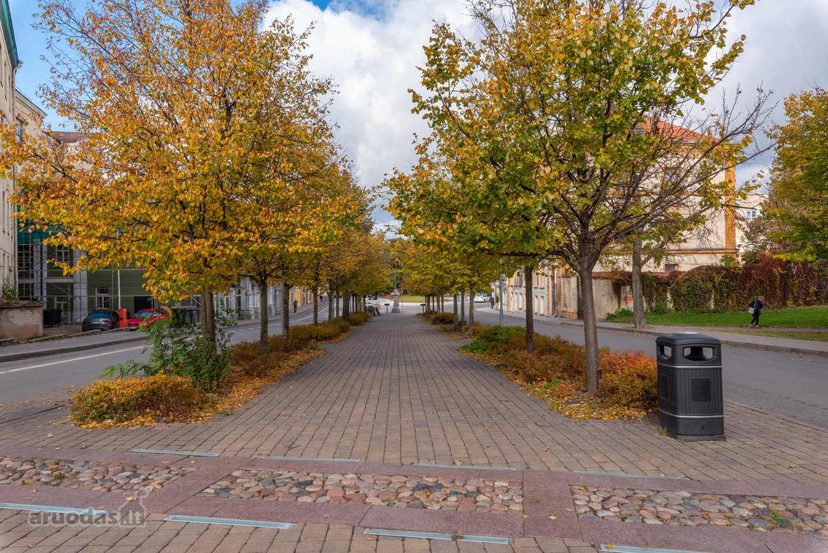 Išnuomojamas Pilnai Įrengtas Butas Vilniaus - nuotraukos Nr. 12