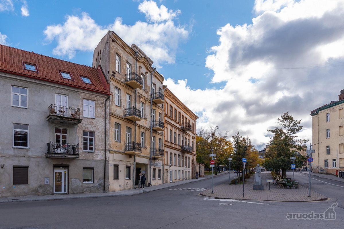 Išnuomojamas Pilnai Įrengtas Butas Vilniaus - nuotraukos Nr. 14