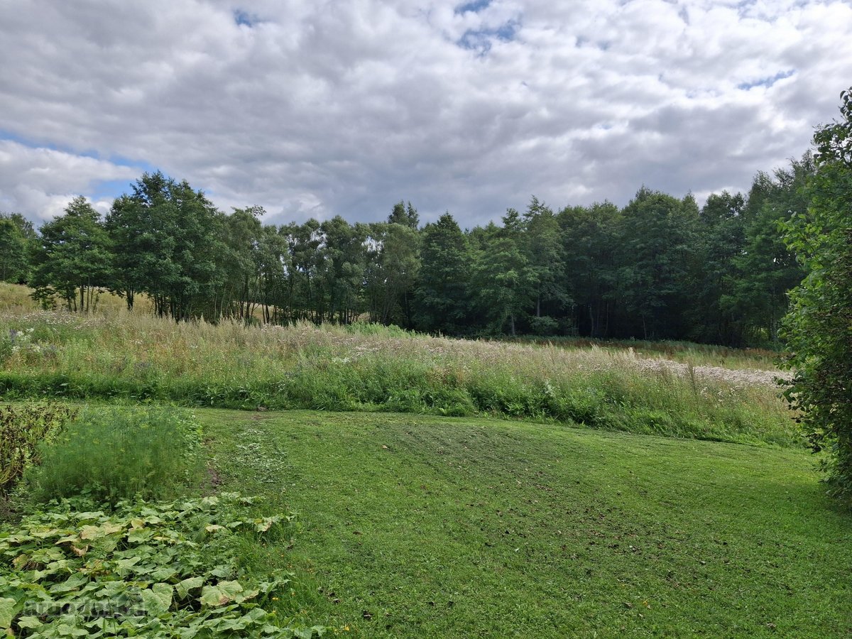 Parduodama sodyba su 6,9 ha žemės sklypu - nuotraukos Nr. 12