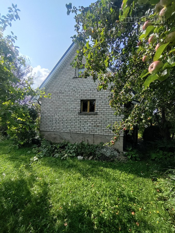 Vaiteliuose Šalpusnių ramioje gatvėje - nuotraukos Nr. 2