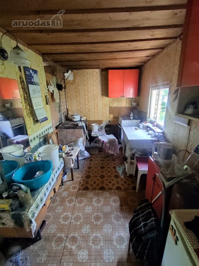 Vaiteliuose Šalpusnių ramioje gatvėje - nuotraukos Nr. 9