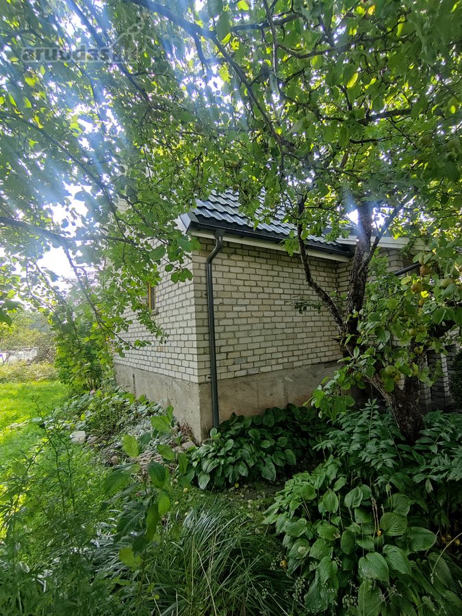 Vaiteliuose Šalpusnių ramioje gatvėje - nuotraukos Nr. 12