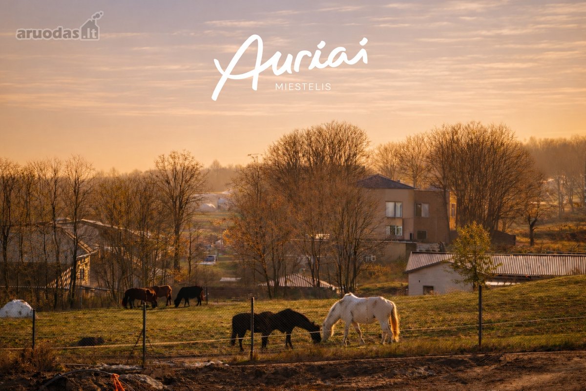 W - nuotraukos Nr. 16