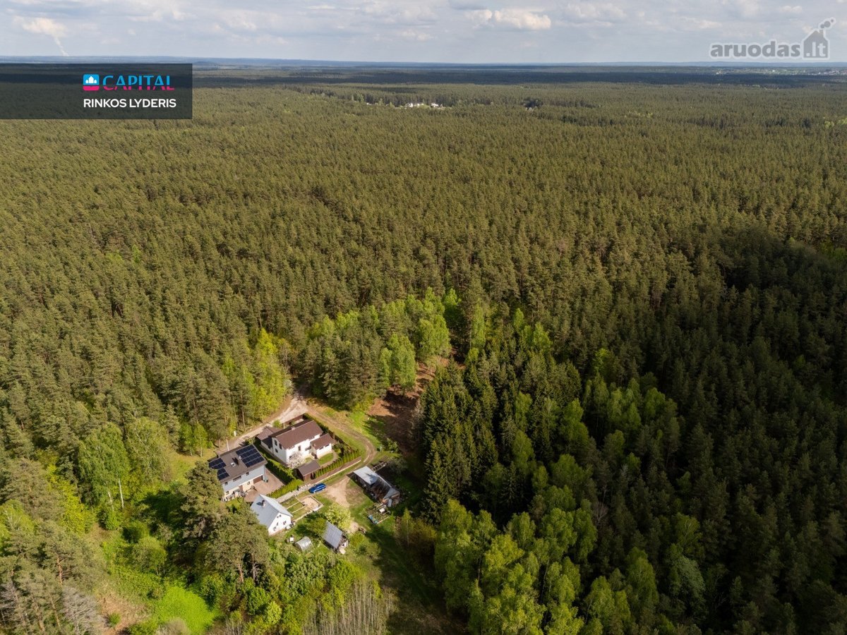 Vilniaus Mieste, Apsuptas Miško Žalumos, - nuotraukos Nr. 8