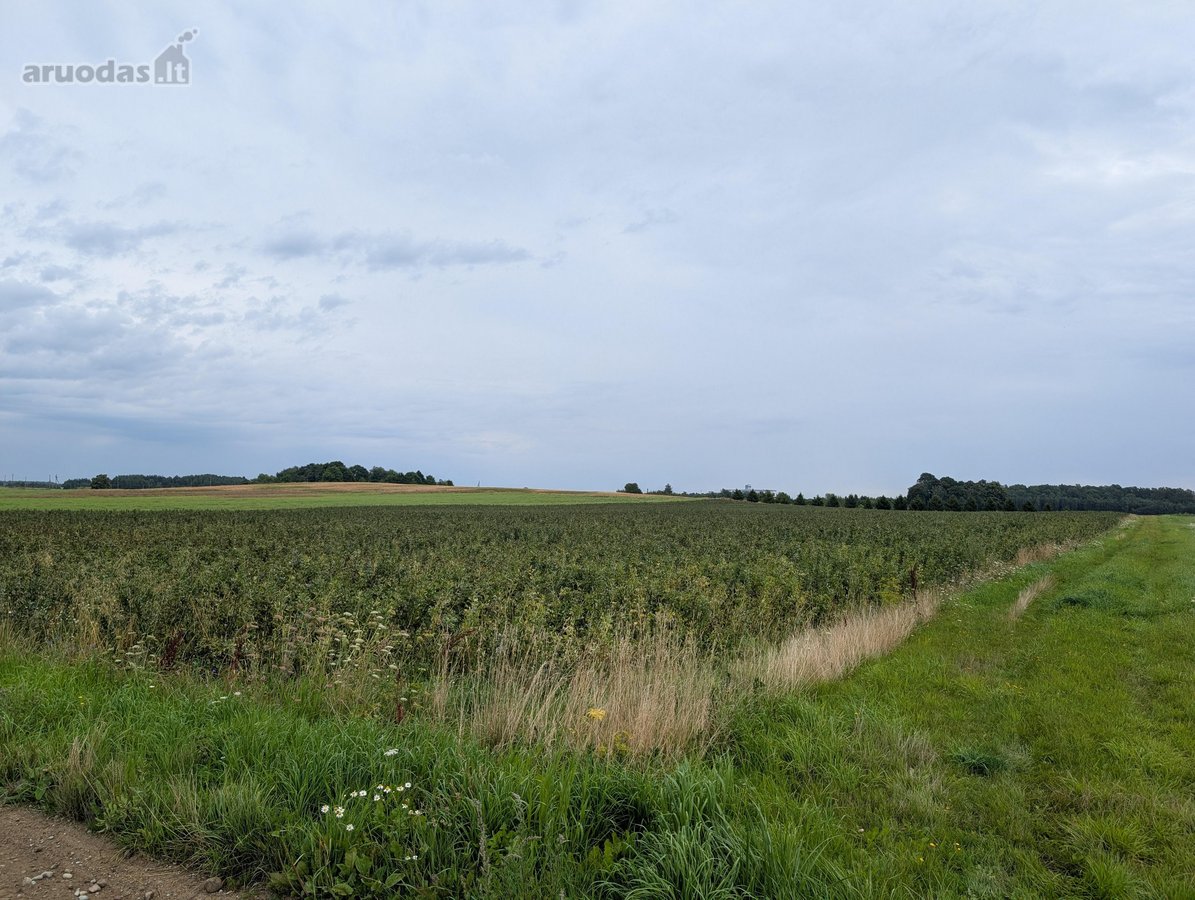 Parduodamas 2,19 ha (219 a) žemės ūkio - nuotraukos Nr. 4