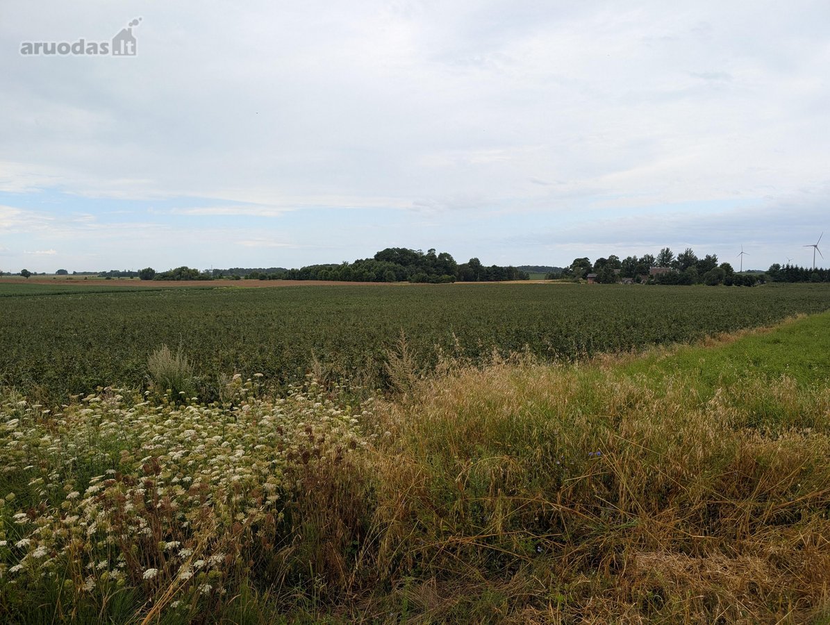 Parduodamas 2,19 ha (219 a) žemės ūkio - nuotraukos Nr. 5